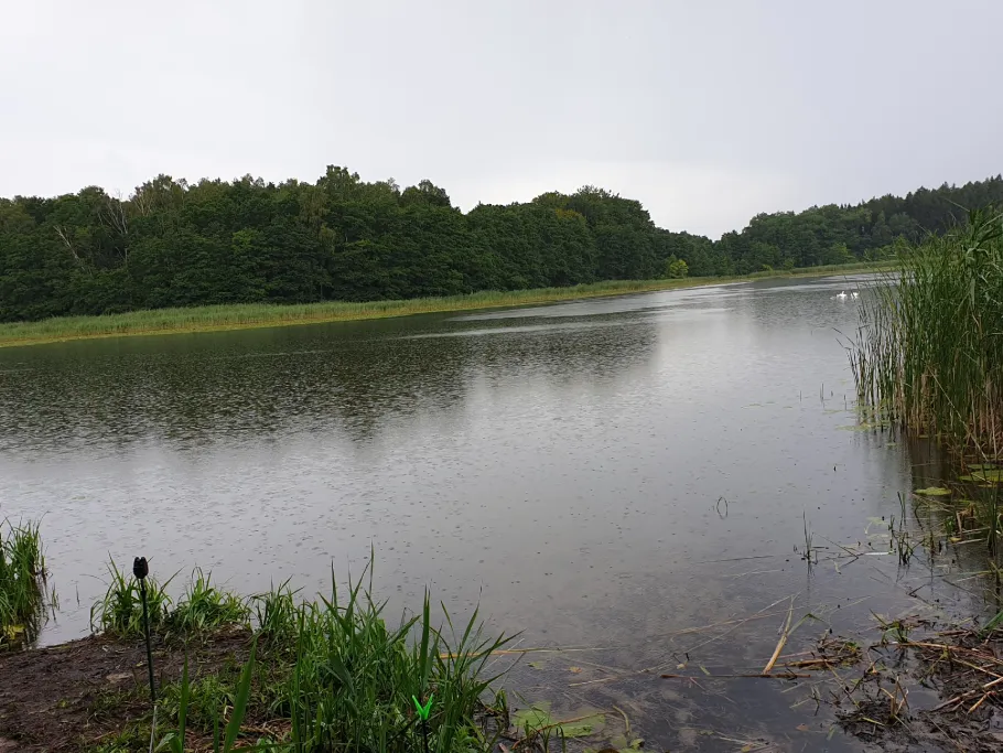 Kniepower See (Karnitz) angeln