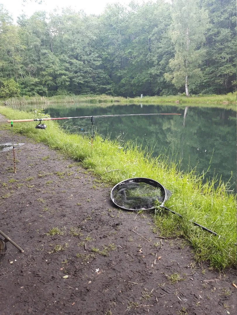 Angelteich Silbergrund angeln