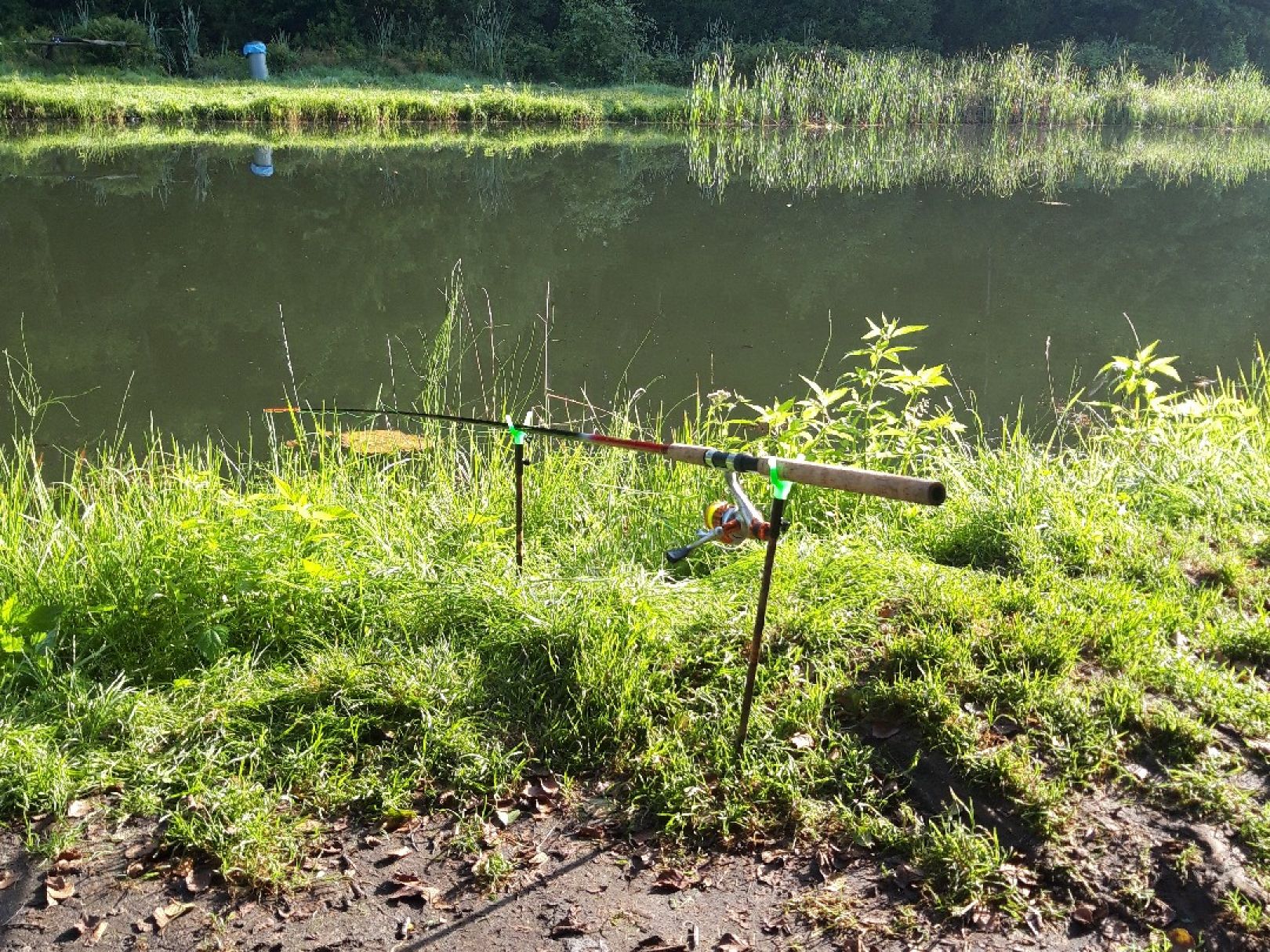 Angeln in Bispingen ALLE ANGELN