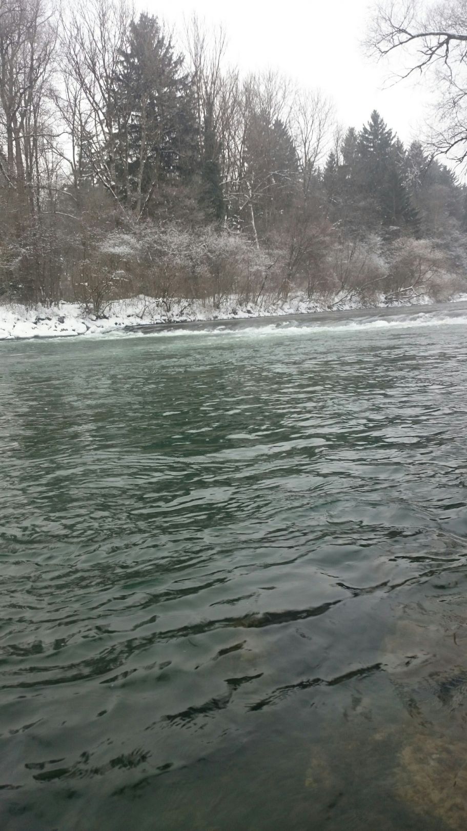 Loisach (Eurasburg) angeln