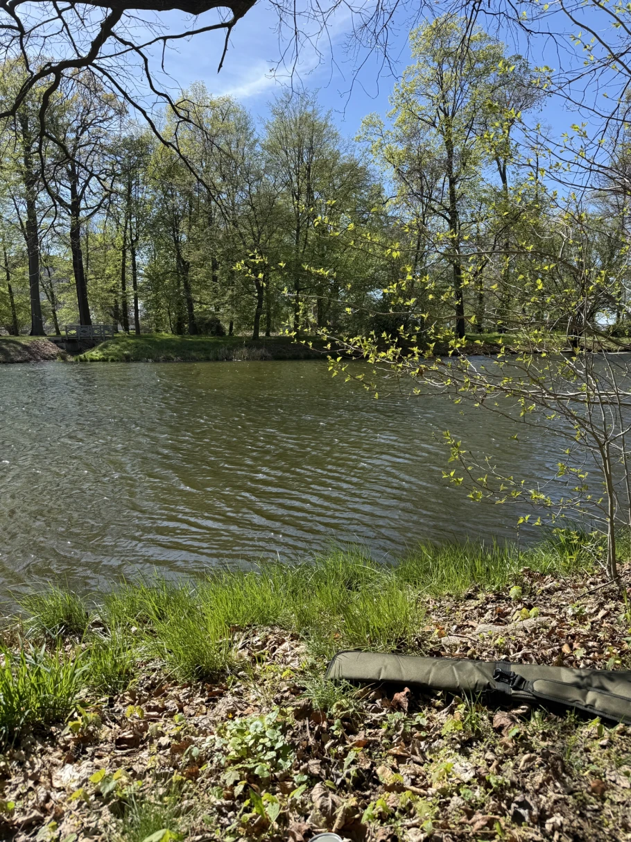 Parkteich Großkmehlen angeln