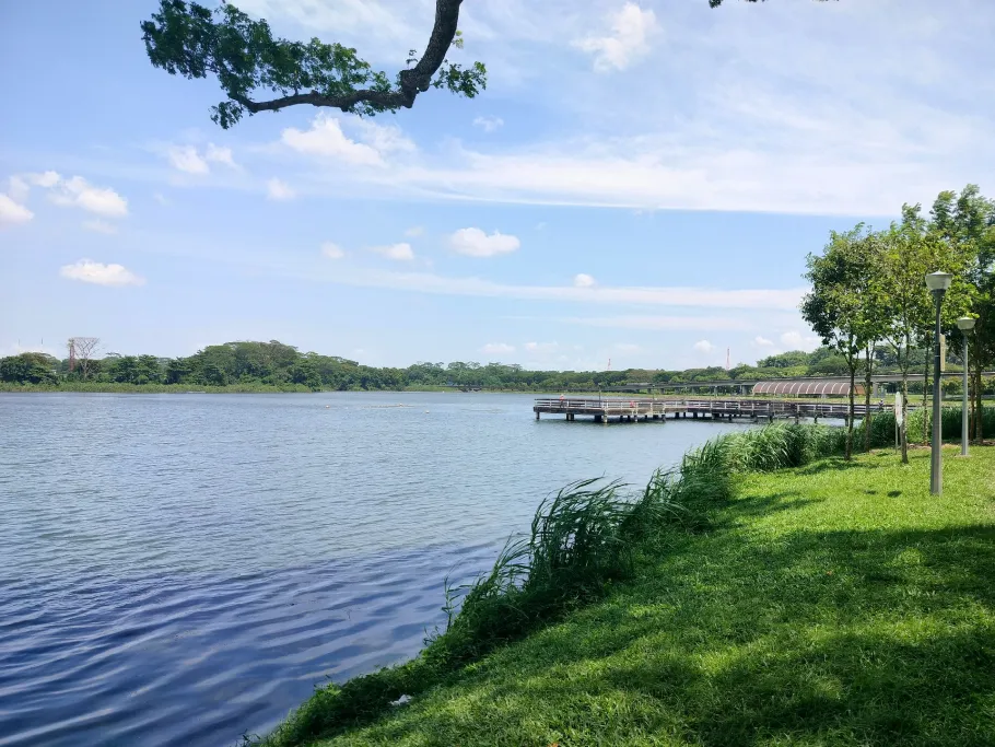Lower Seletar Reservoir angeln