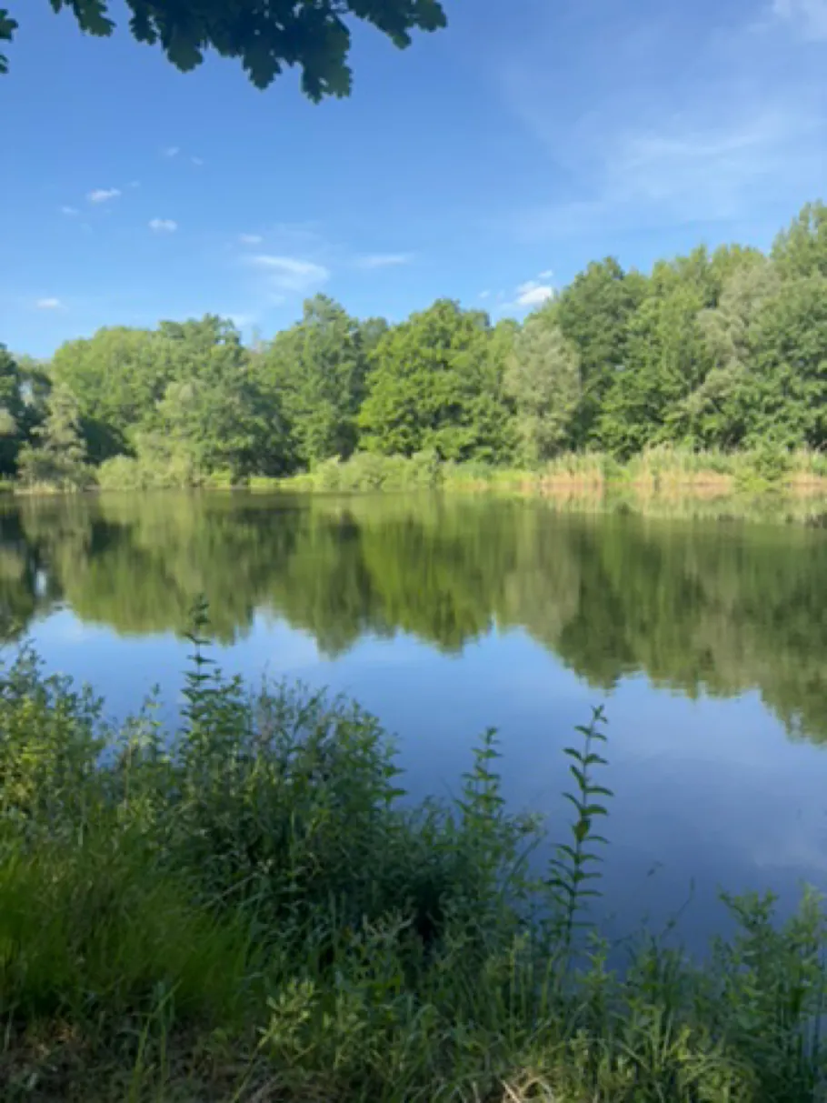 Küchenhorn (Wolmirstedt) angeln