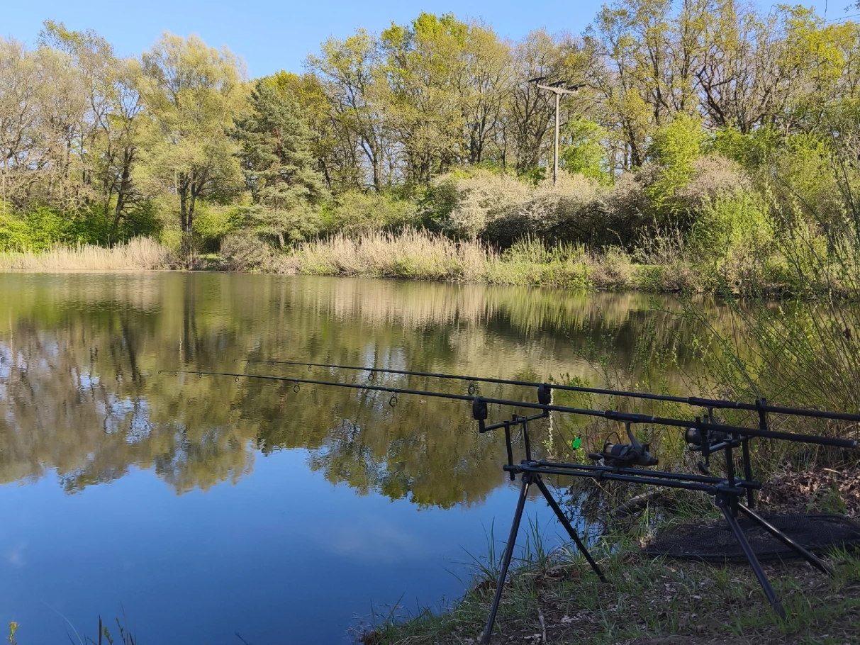 Küchenhorn (Wolmirstedt) angeln