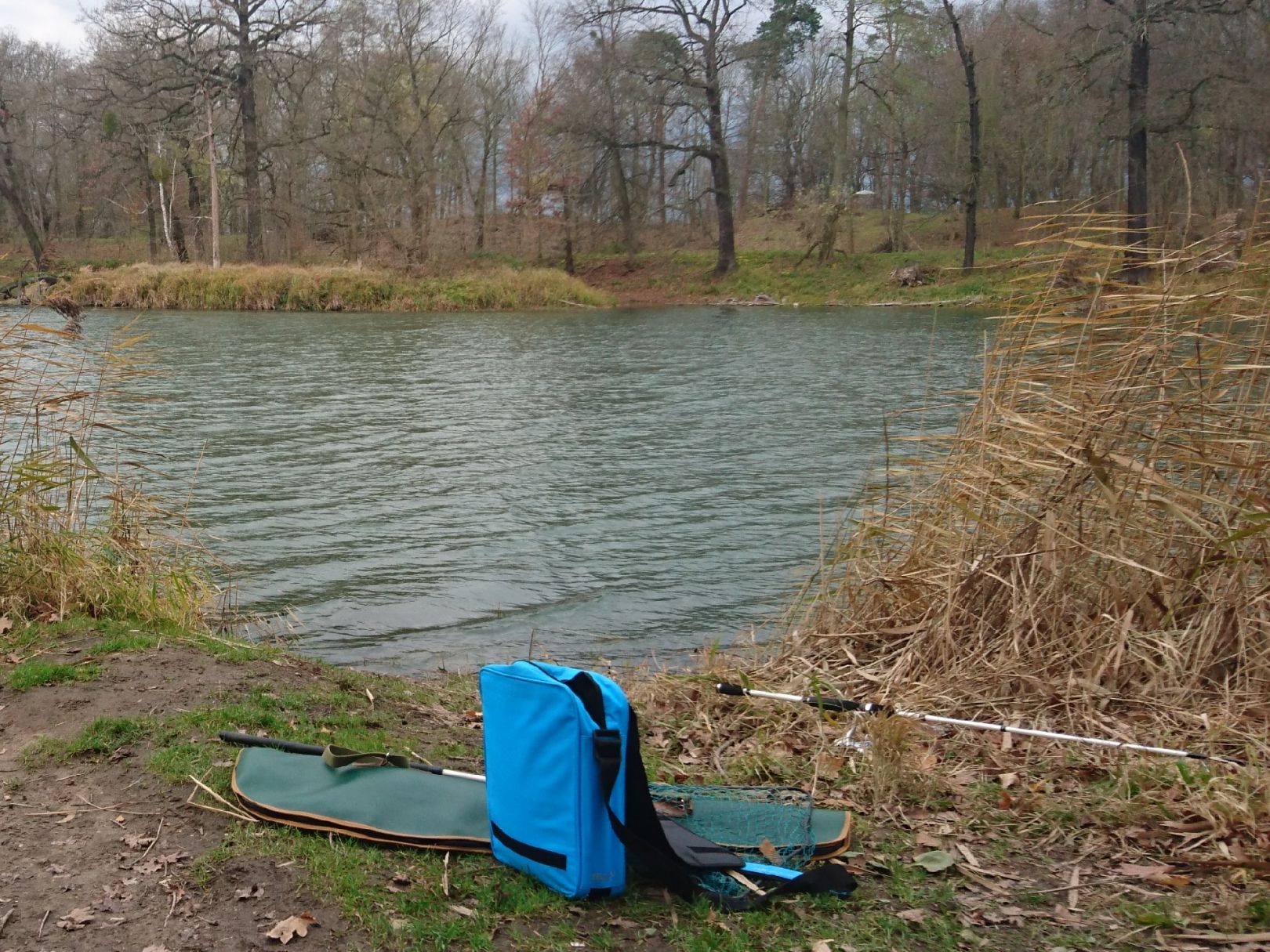 Wallwitzsee (Dessau) angeln