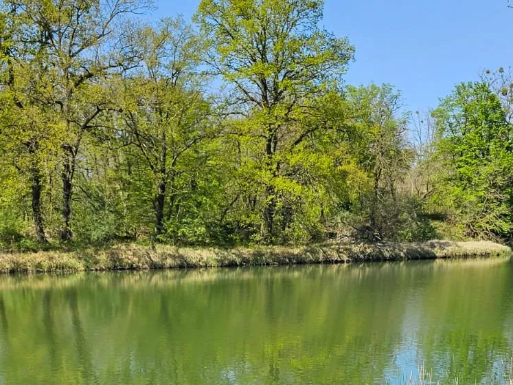 Wallwitzsee (Dessau) angeln