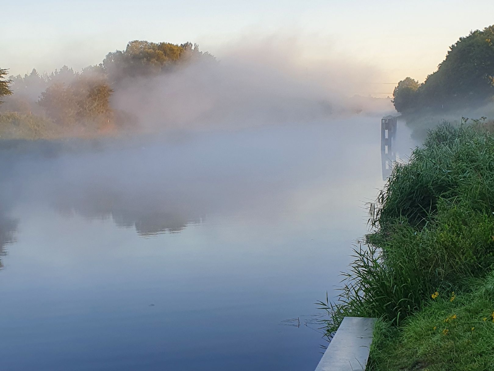 Elbe-Lübeck-Kanal (Güster) angeln