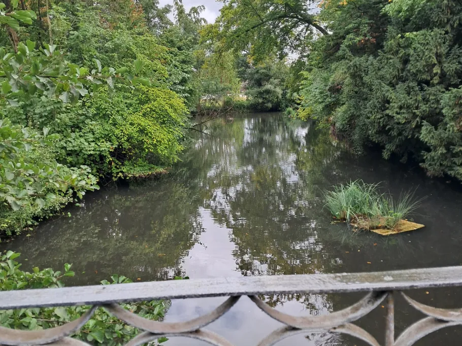 Graben Gut Sandbeck (Osterholz-Scharmbeck) angeln