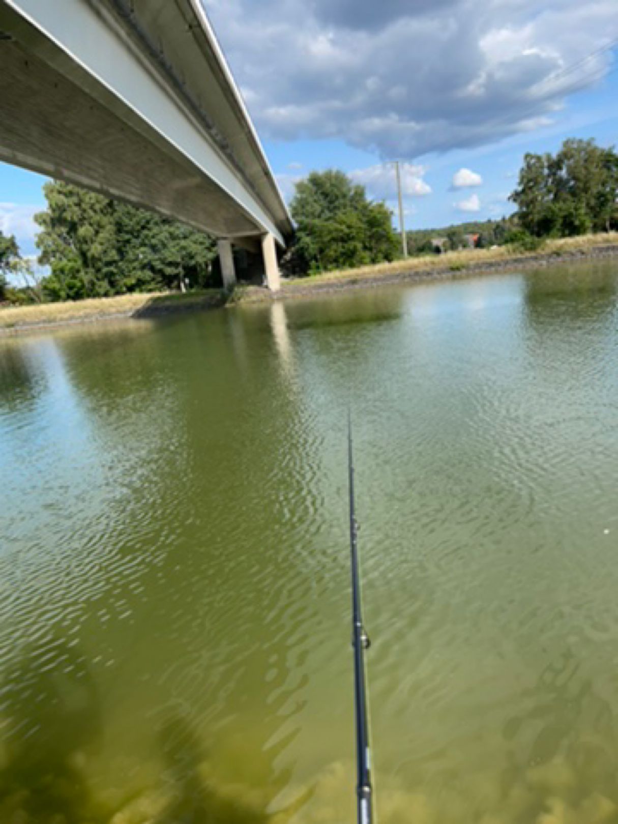 Elbe-Seitenkanal (Sassenburg-Stüde) angeln