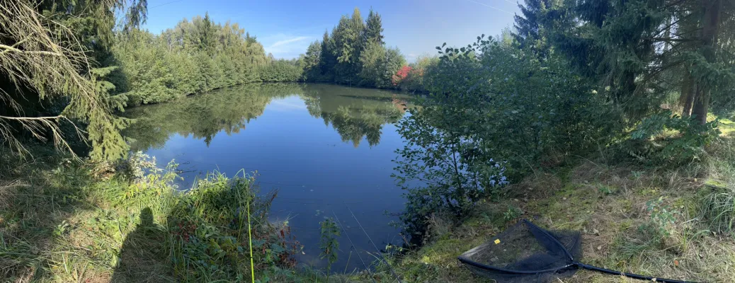 Weiher (Parkstetten) angeln
