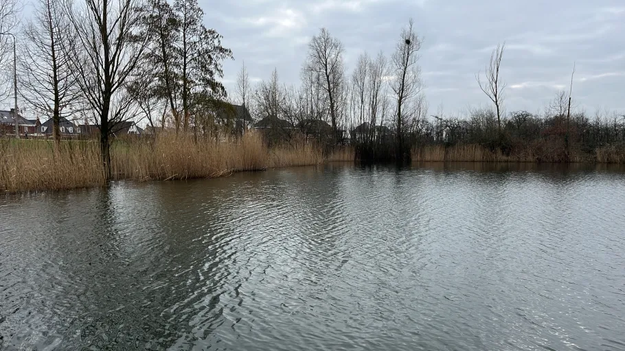Polderwater van de Tielerwaard angeln