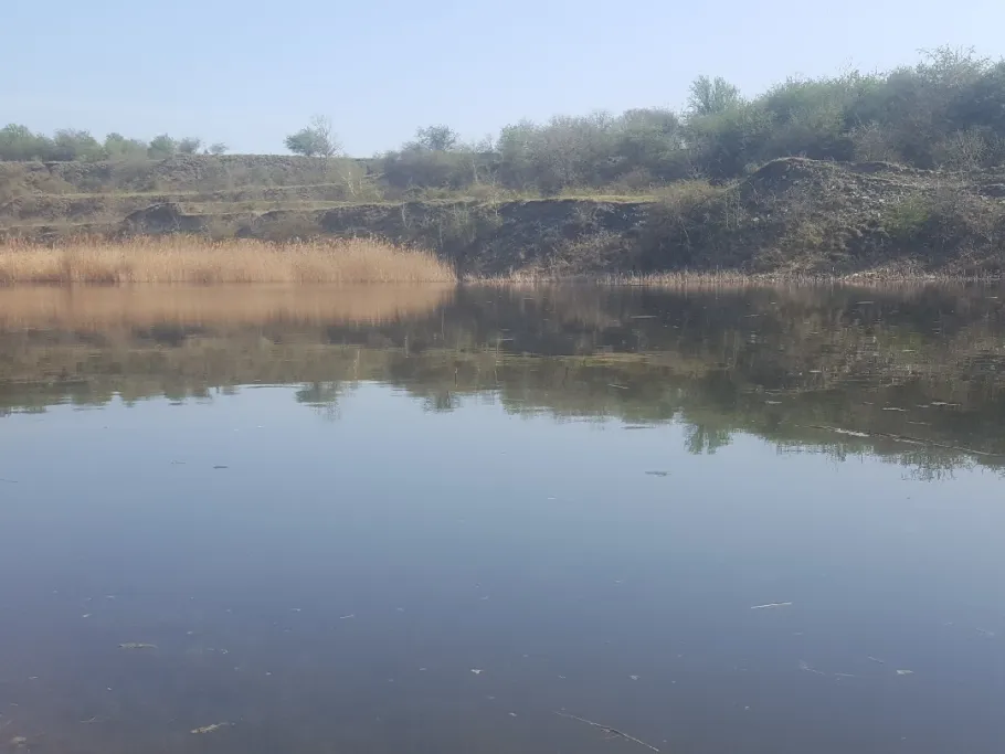 Mergelbruch Schwanebeck angeln