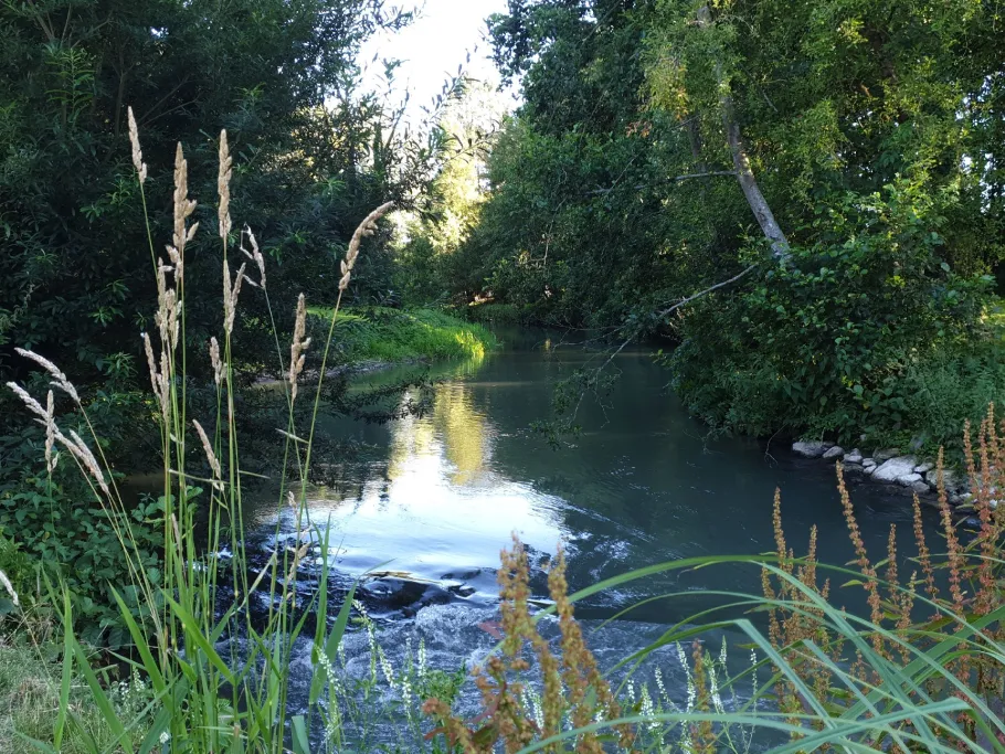 Authie (Le Ponchel) angeln
