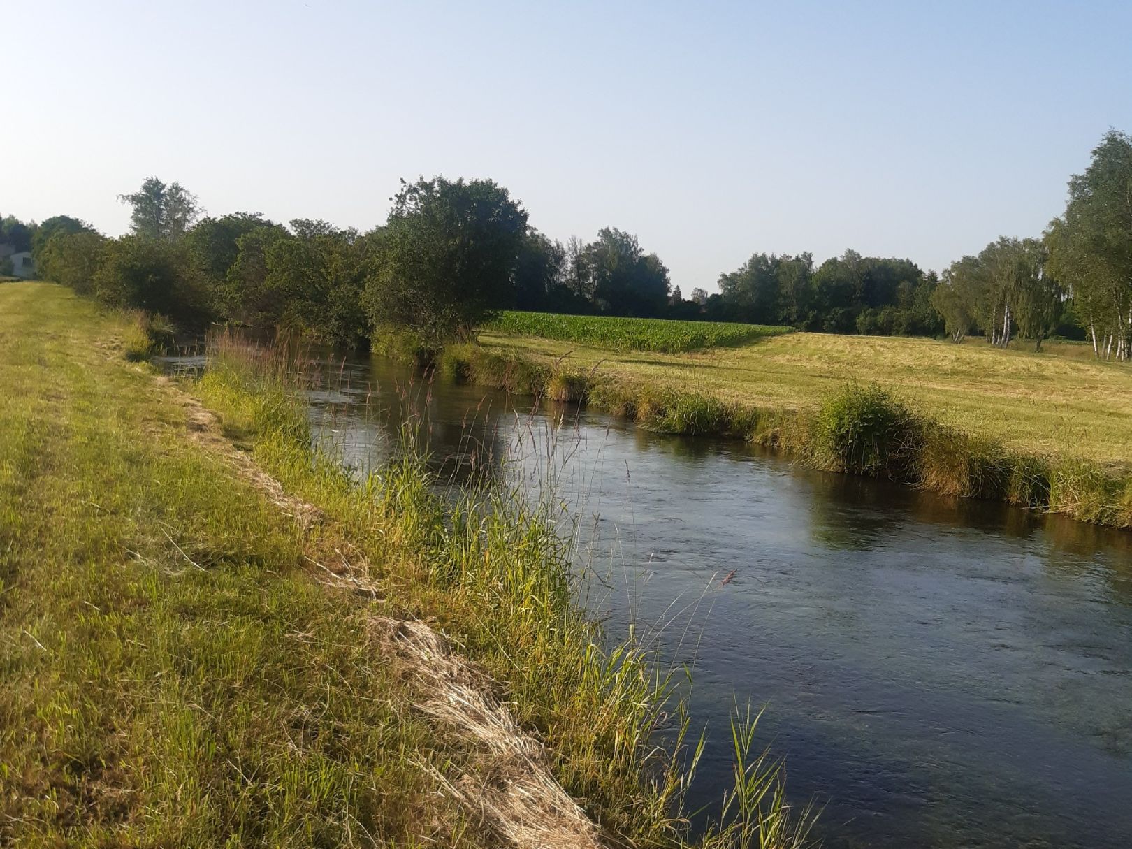 Goldach (Ismaning) angeln