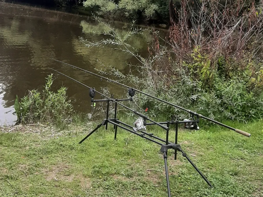 Feilsbachsee (Limbach) angeln