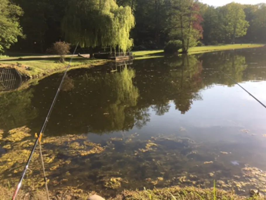 Kurparksee Hamm angeln