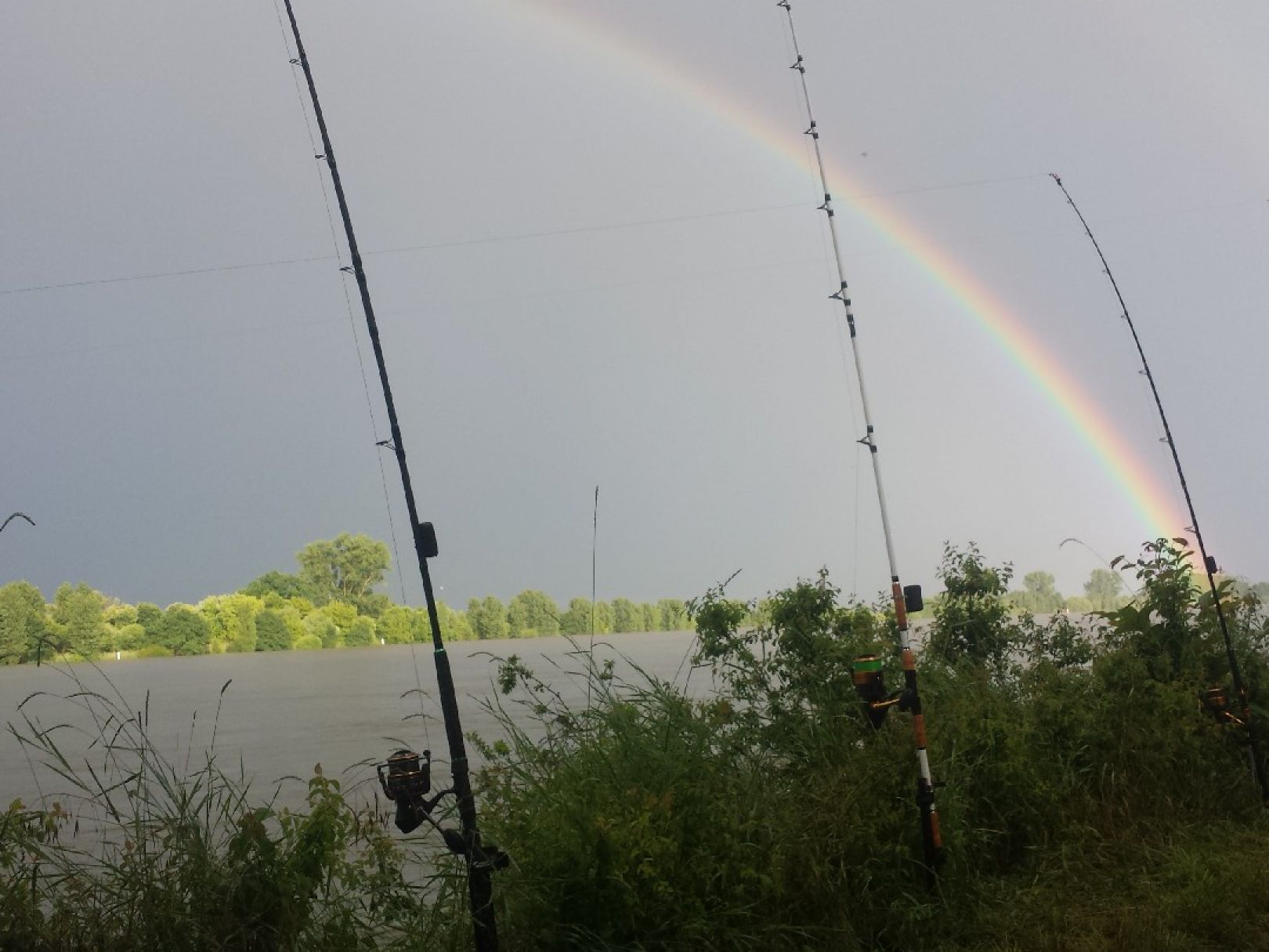 Rhein (Ketsch) angeln