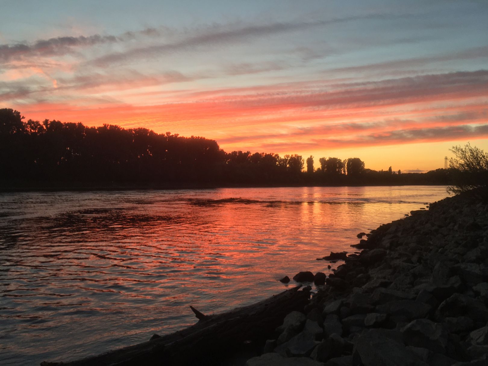 Rhein (Ketsch) angeln