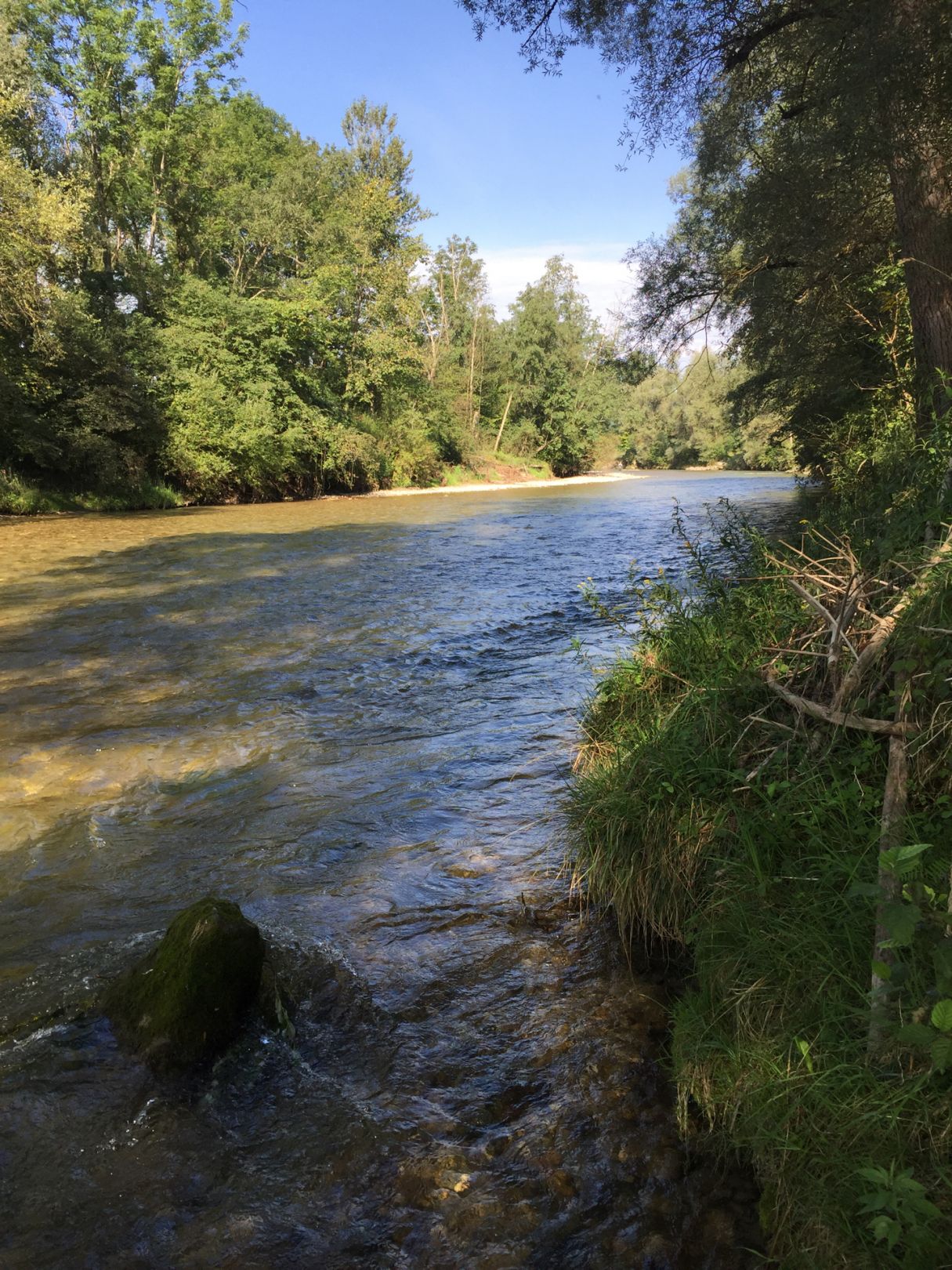 Ammer (Peißenberg) angeln