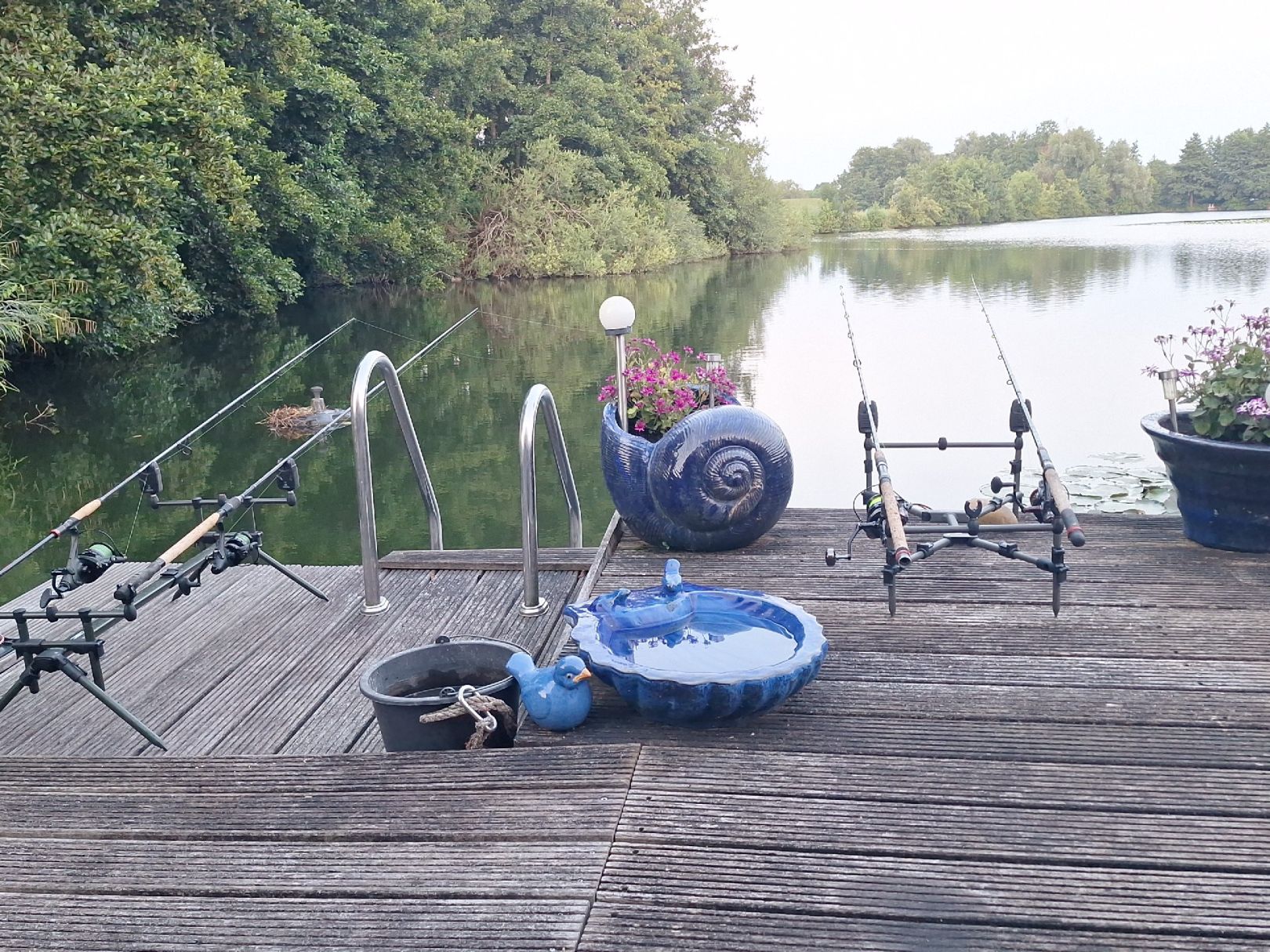 Teich bei Brake (Unterweser) angeln