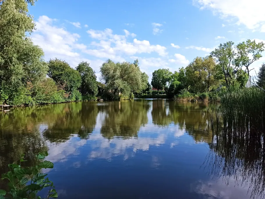 Pferdeteich (Glebitzsch) angeln