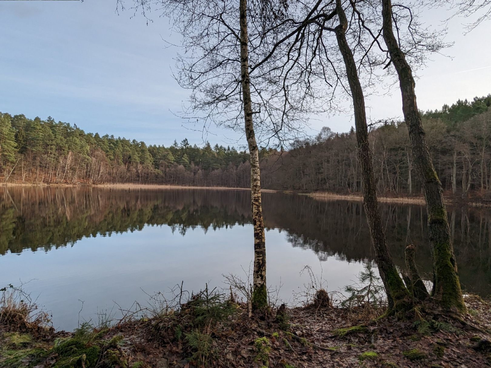 Frauensee (Weberin) angeln