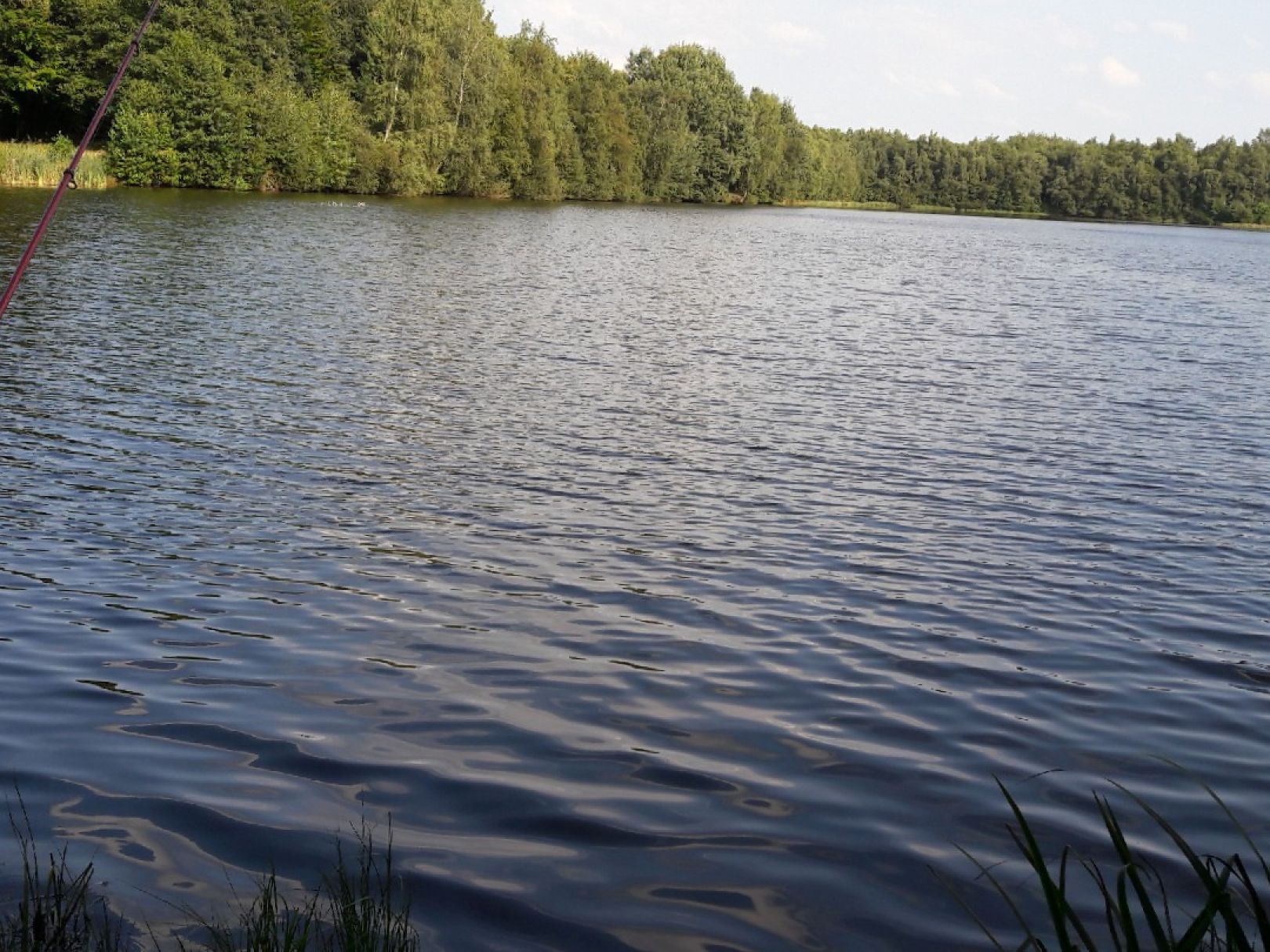 Buntesee angeln