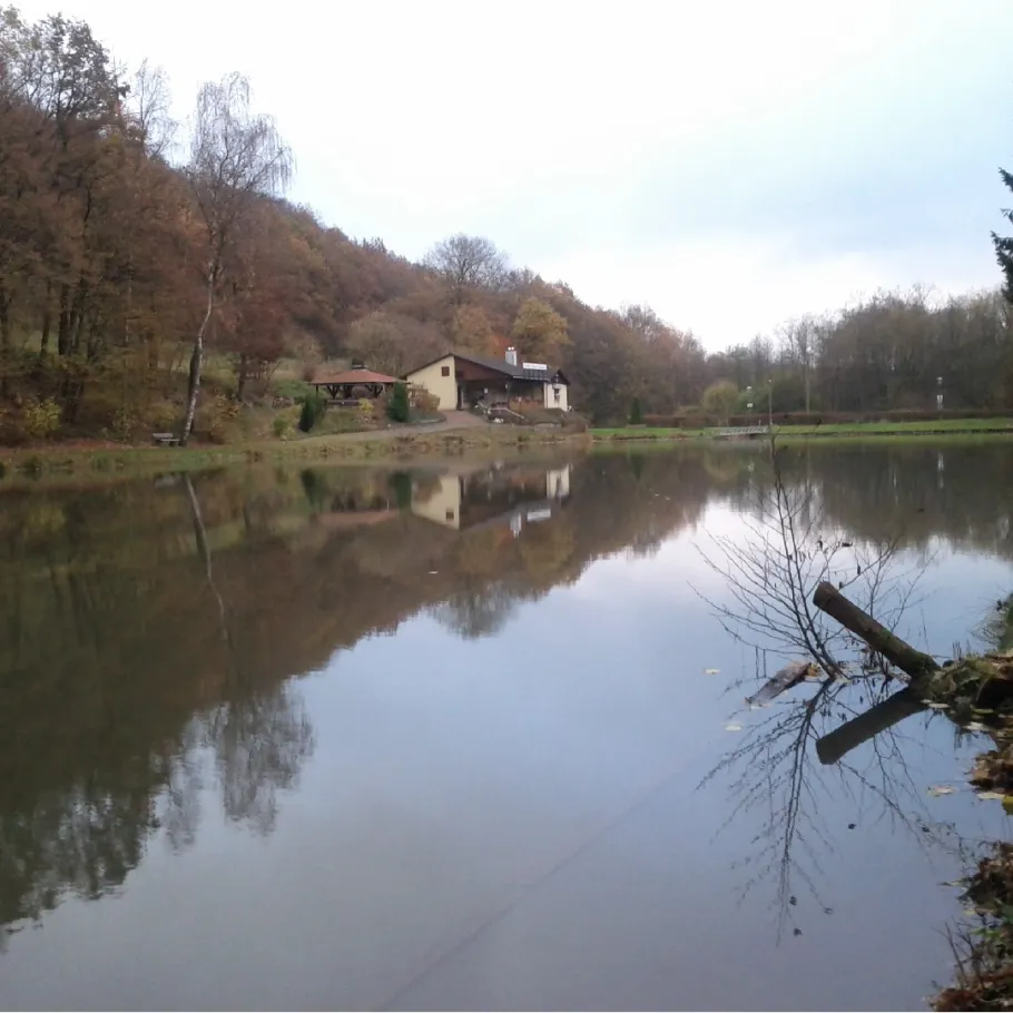 Langenbacher Weiher angeln