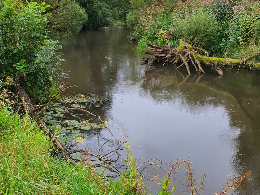 Fulda (Kämmerzell) angeln