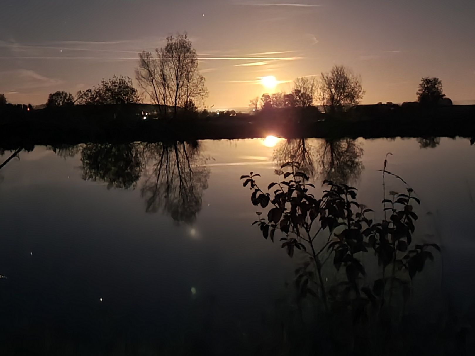 Ochsenweiher (Weisendorf) angeln