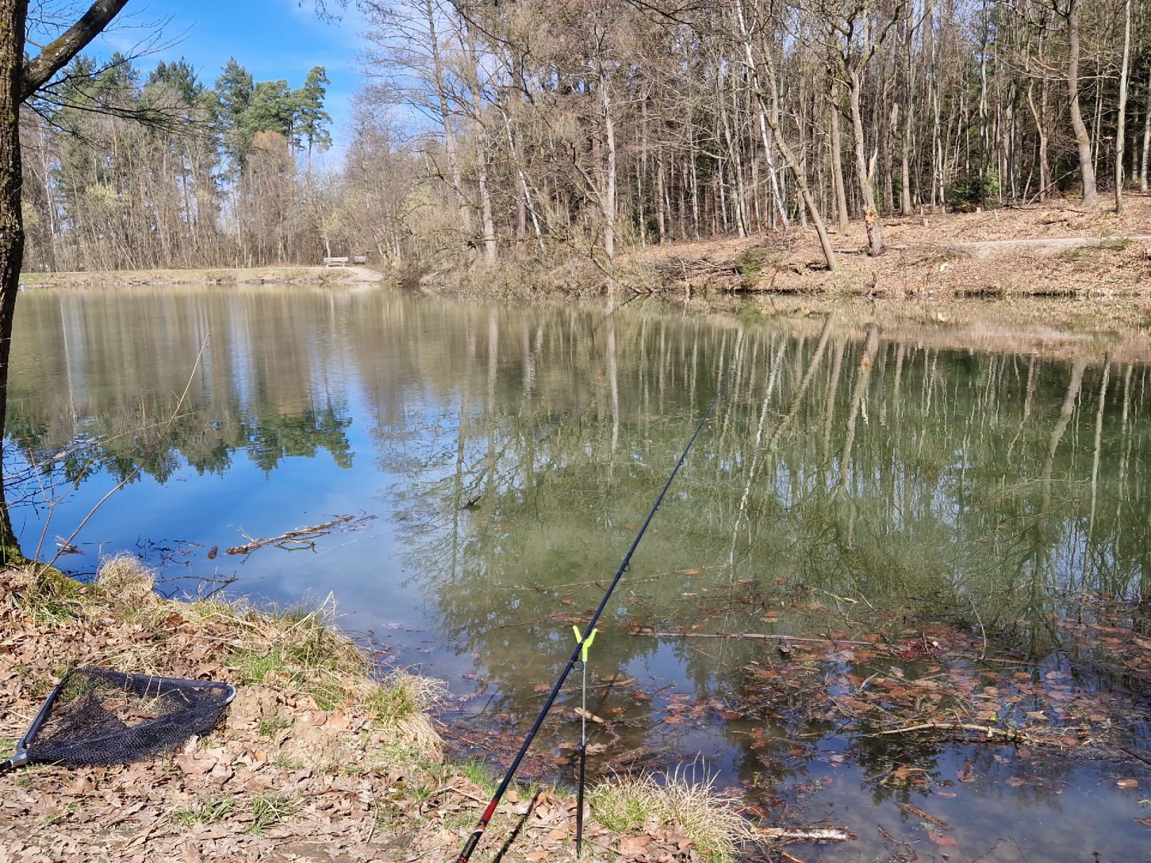 Roßteich (Ebersbach) angeln