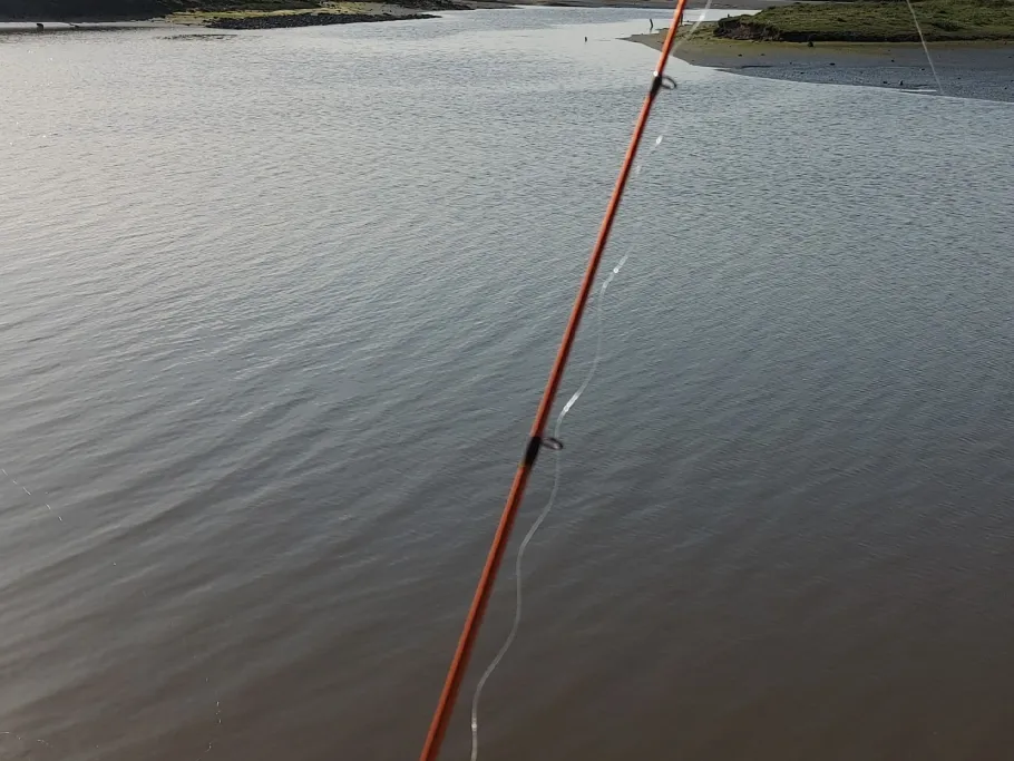 Nesserdeicher Aue angeln