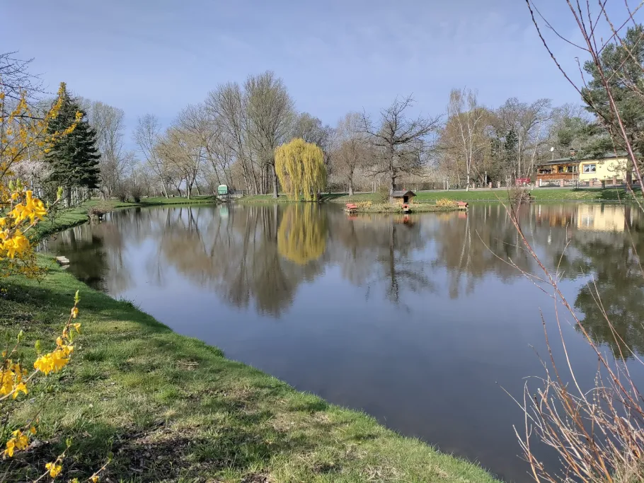 Spitzteich (Zweimen) angeln