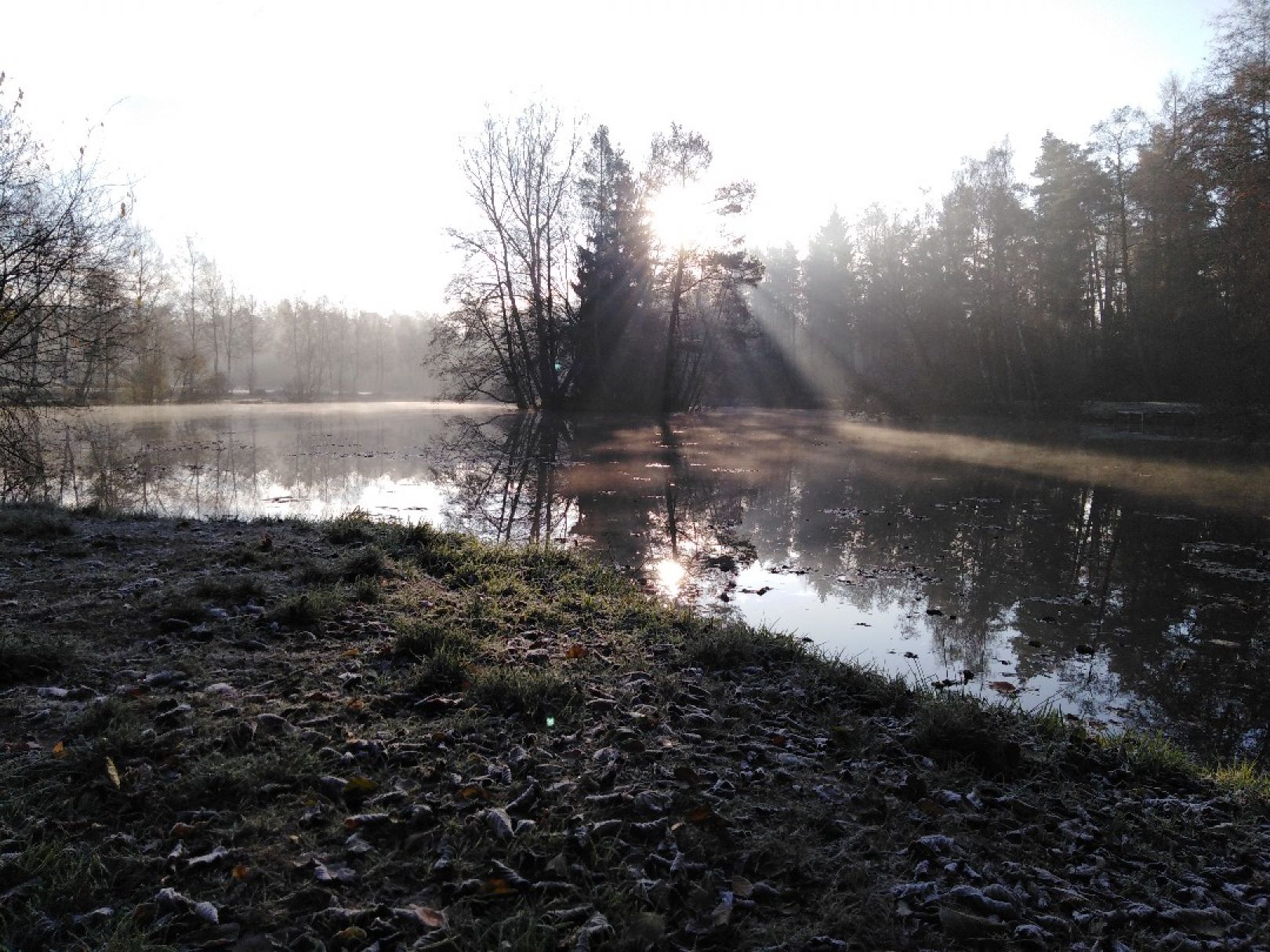 HubertusSchröterTeich ALLE ANGELN