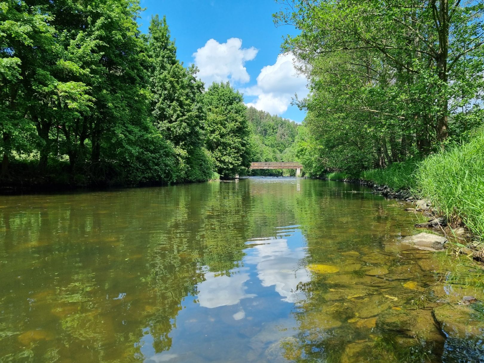 Weiße Elster (Greiz) angeln