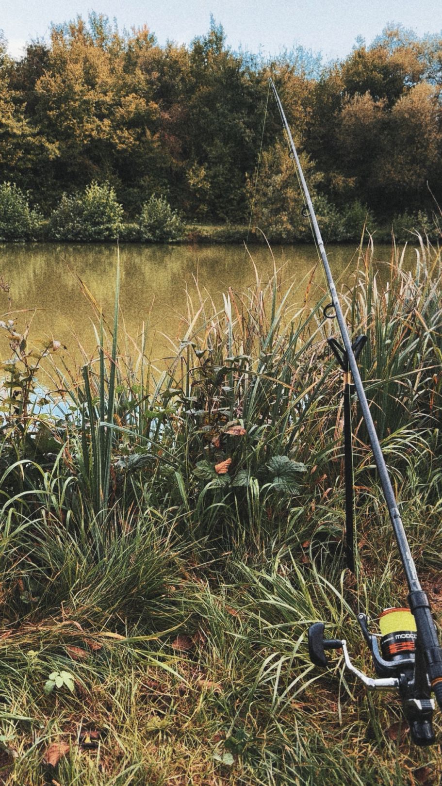 Seckachweiher (Seckach) angeln
