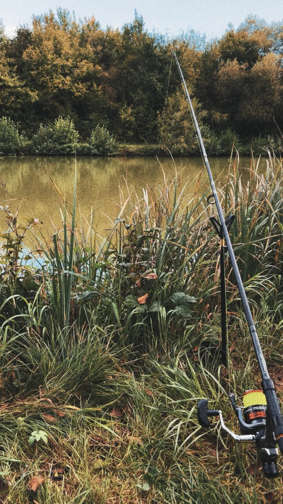 Seckachweiher (Seckach) angeln
