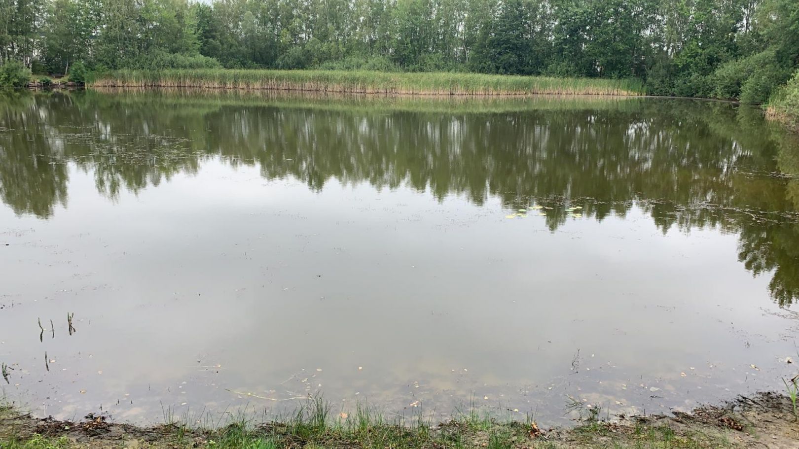 Kiesee Neuendorf angeln