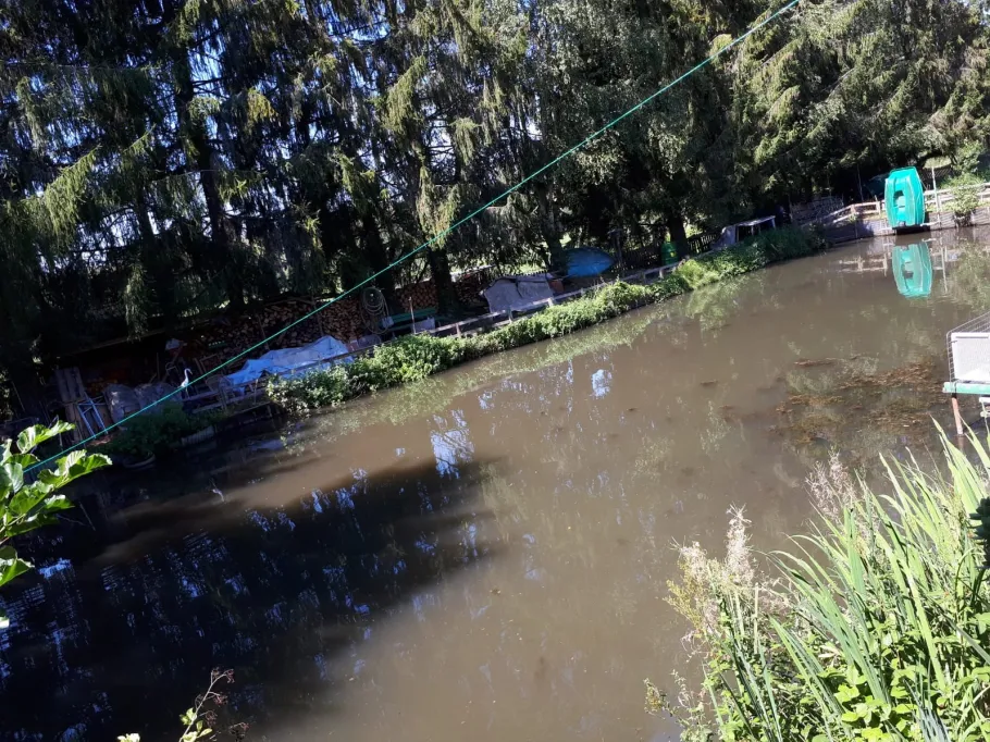 Forellen- und Karpfenweiher Wollbach angeln