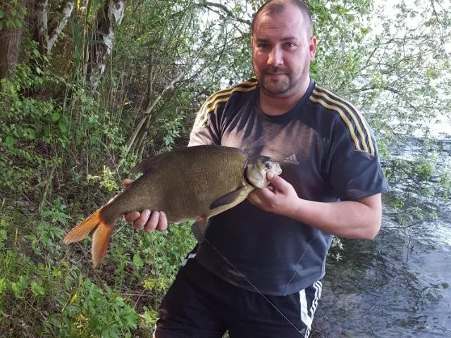 Kiessee (Neu Zachun) angeln