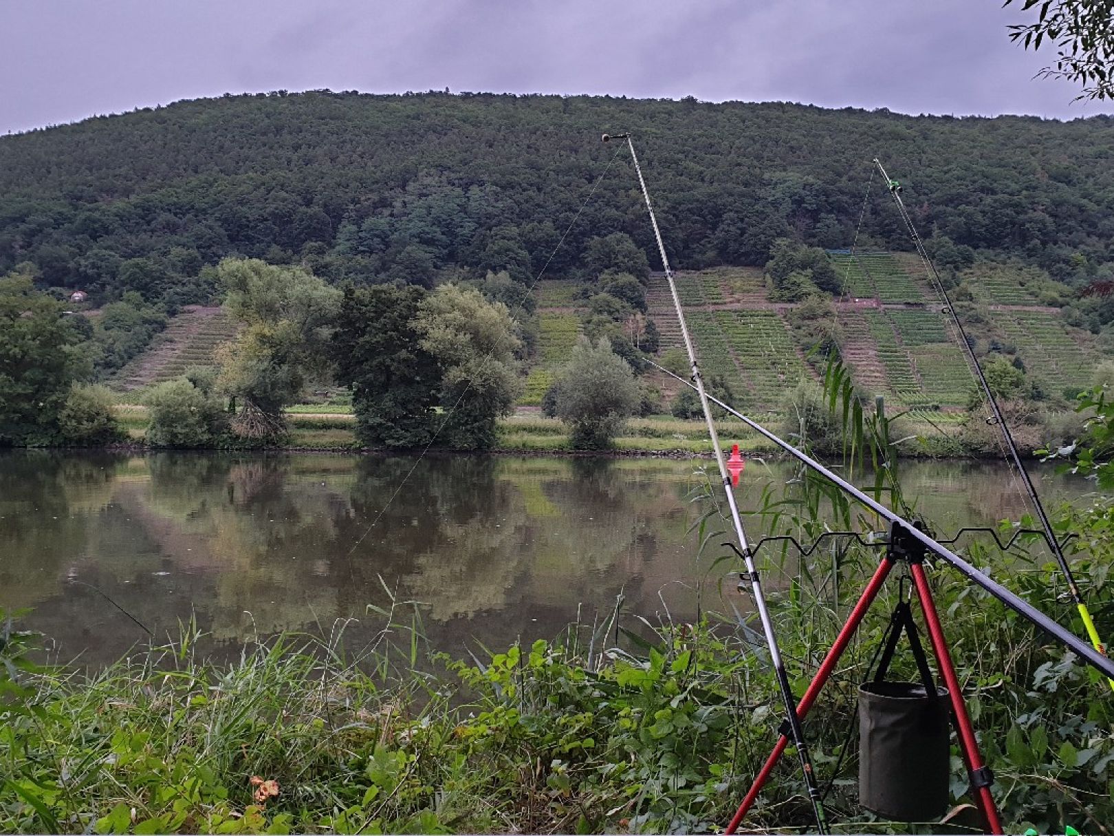 Angeln in Rohrbrunner Forst