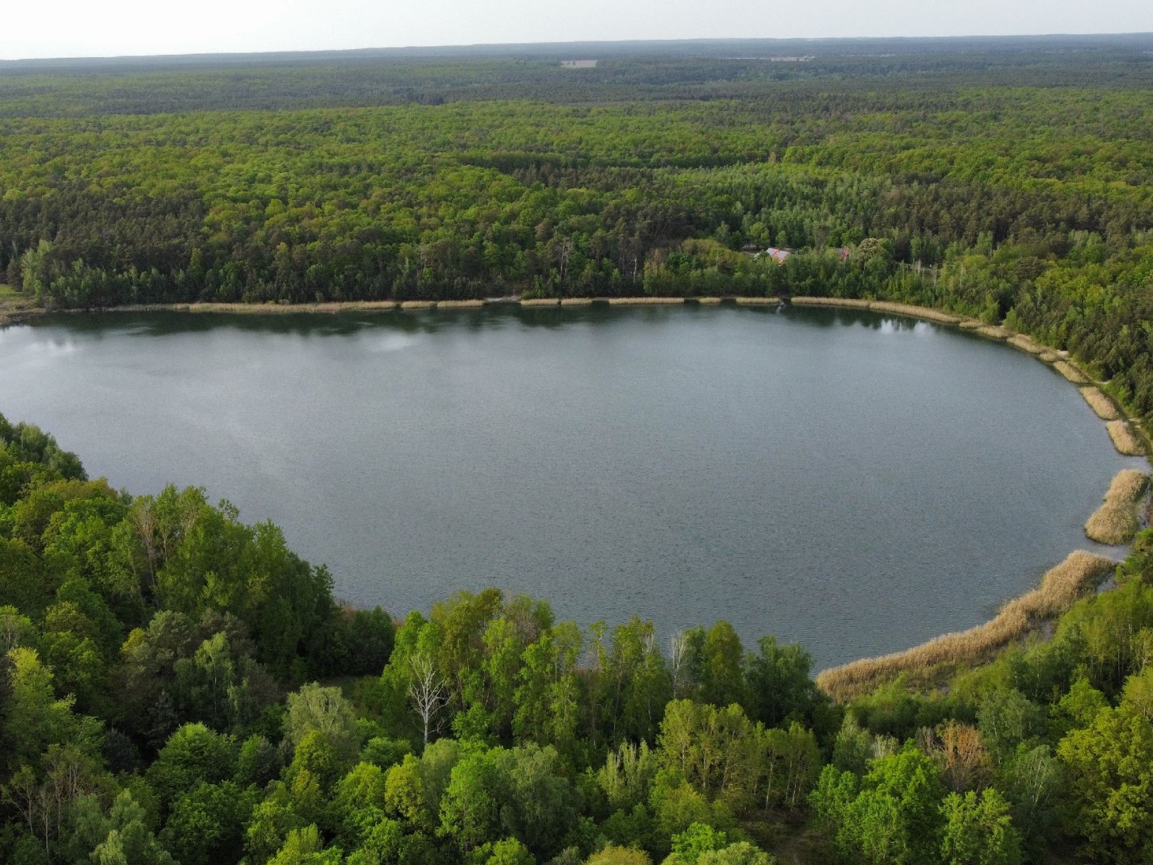 Kleinsee (Jänschwalde) angeln