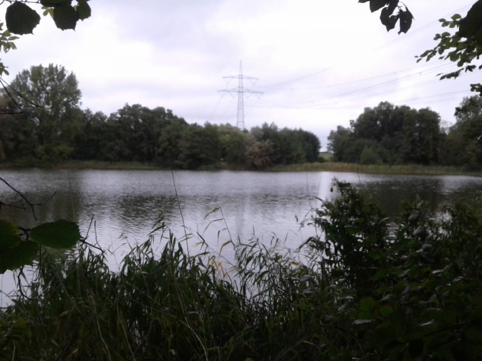 Hofsee (Satow) angeln
