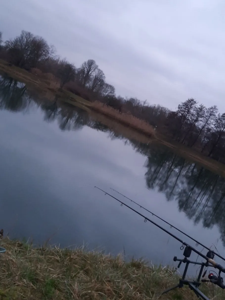 Heckenplatzteich (Dutenhofen) angeln