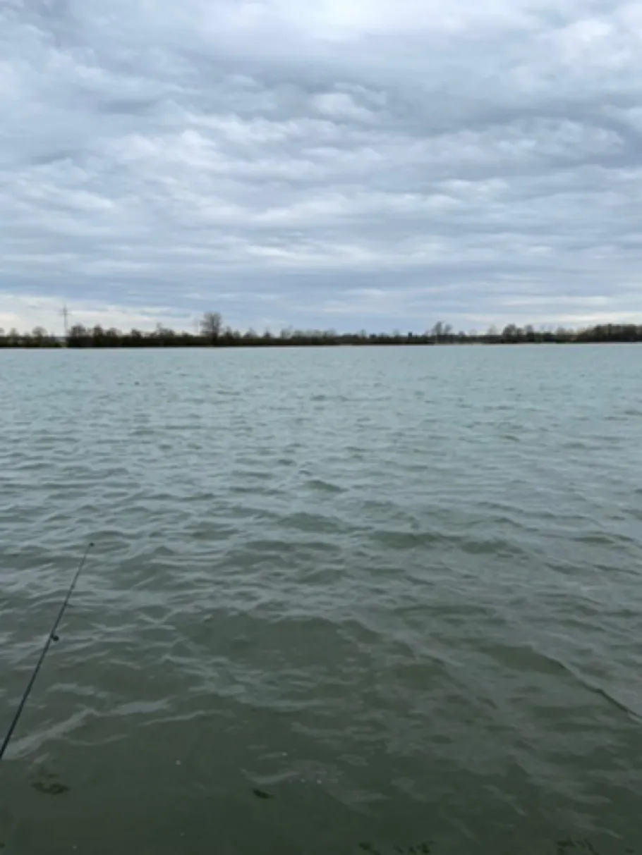 Südsee (Asbach-Bäumenheim) angeln