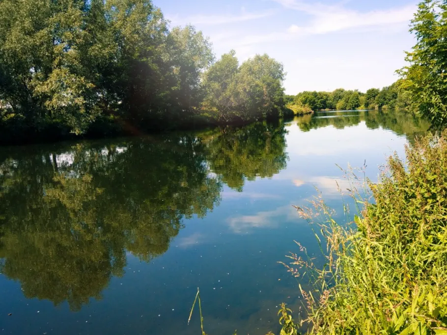 Ruhr (Styrum) angeln
