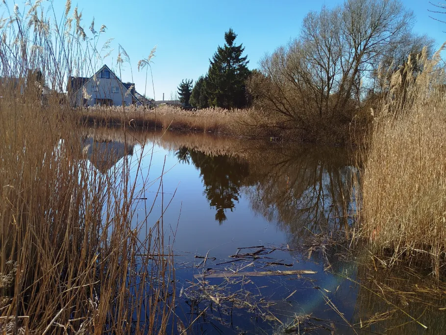 Feuerlöschteich Bentwisch angeln