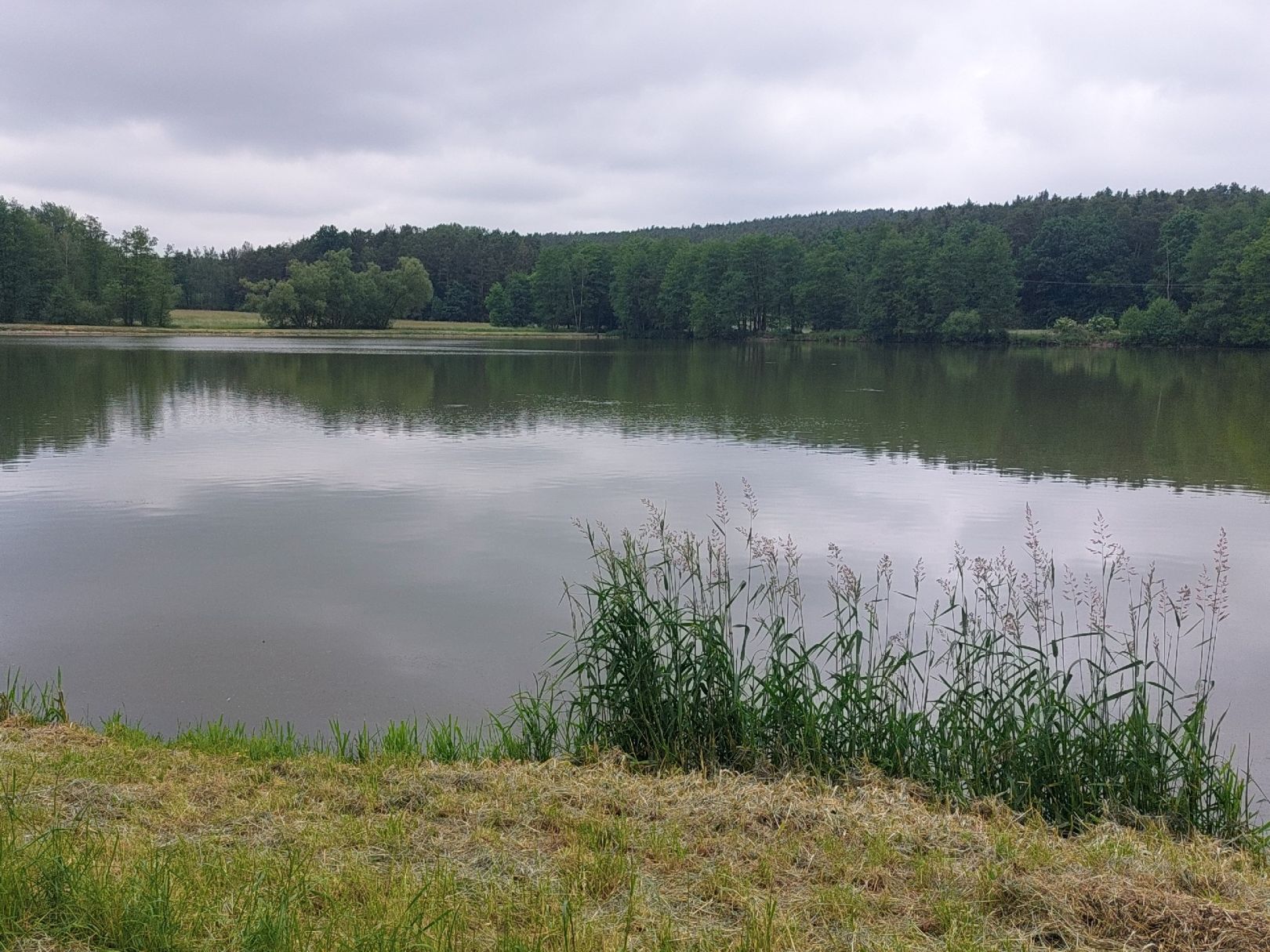 Lanzenweiher angeln