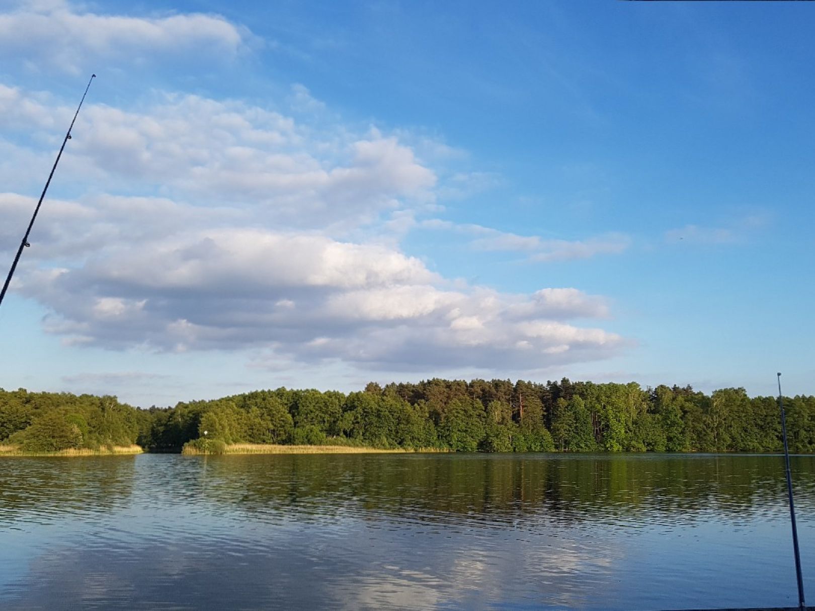 Großer Zechliner See angeln