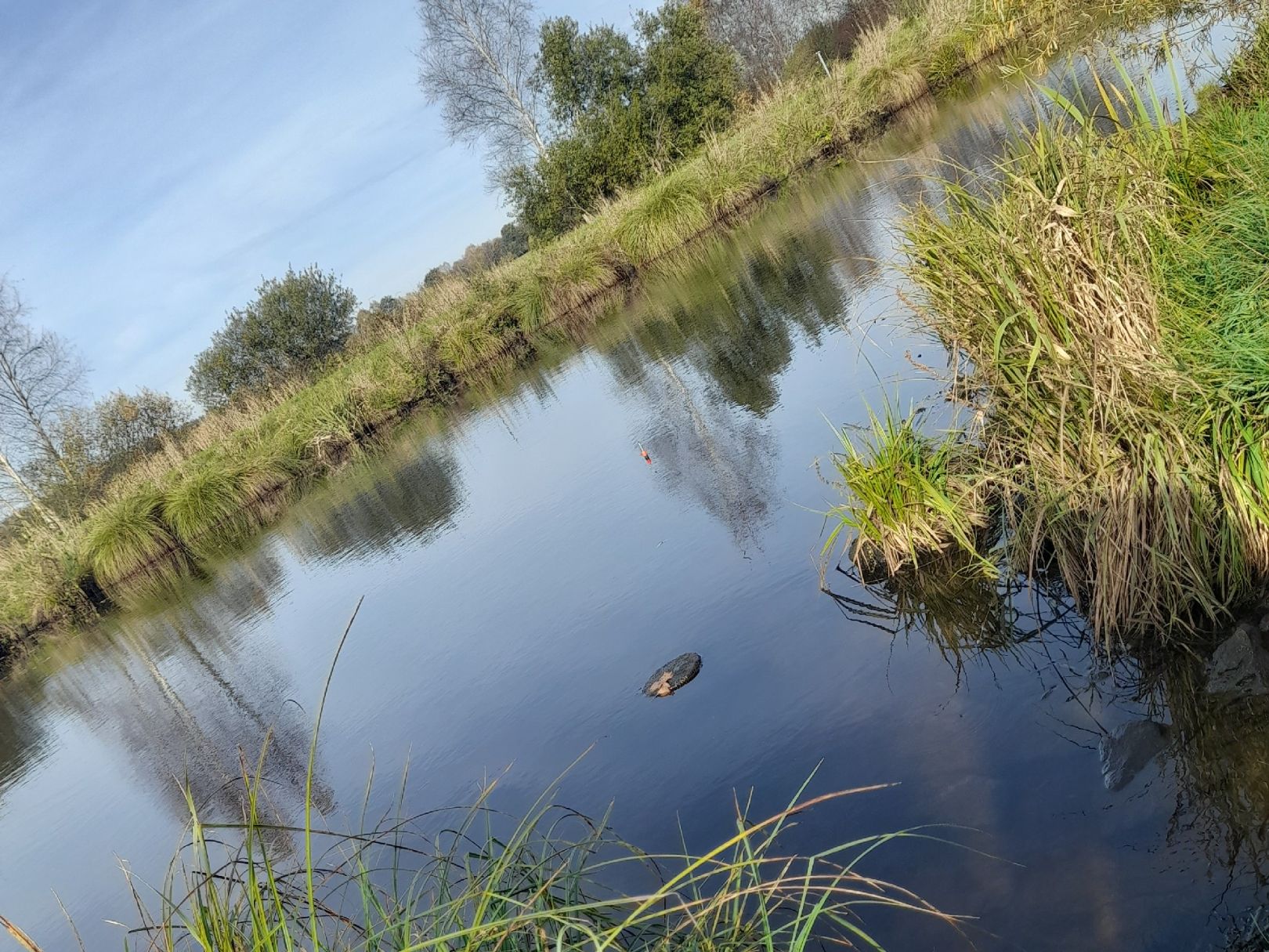 Bederkesa-Geeste-Kanal angeln